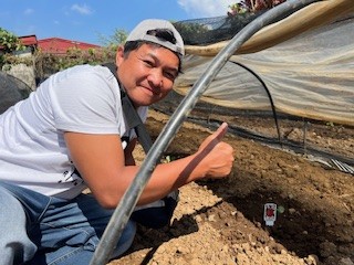 {{brizy_dc_image_alt imageSrc=