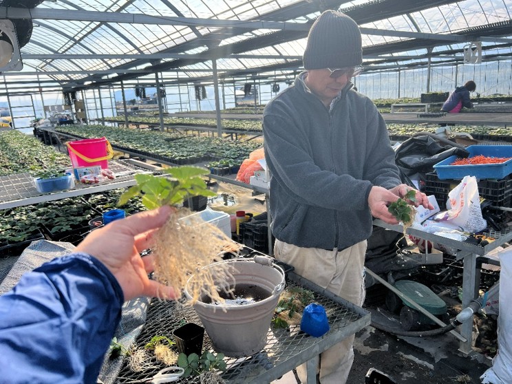 {{brizy_dc_image_alt imageSrc=