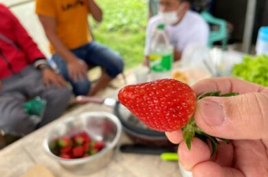 {{brizy_dc_image_alt imageSrc=